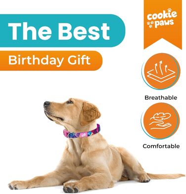 Cookie Paws м'який неопреновий нашийник для малих собак, зручний, регульований, із швидкою застібкою, довговічний, дихаючий, легкий у догляді, стильний, рожево-фіолетовий