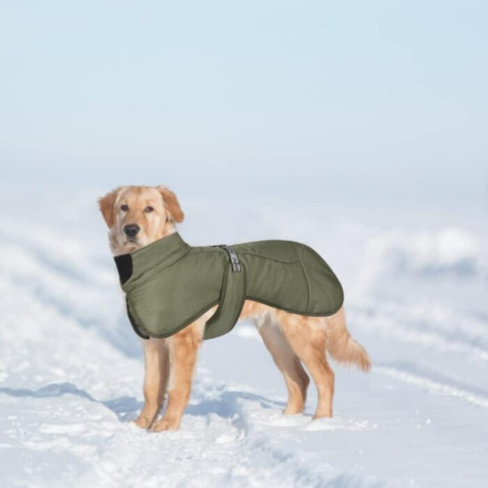 Водонепроникна тепла куртка для собак великих та середніх порід, зимова, з отвором для шлейки, світловідбиваючі смуги, зелена, 6XL
