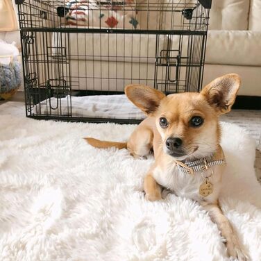 Вольєр для собак Lucky Dog Slyder Whisper з розсувними дверима, 2 бокові двері, патентовані кутові стабілізатори, знімний піддон, гумові ніжки, ручка для перенесення, розмір X-Large