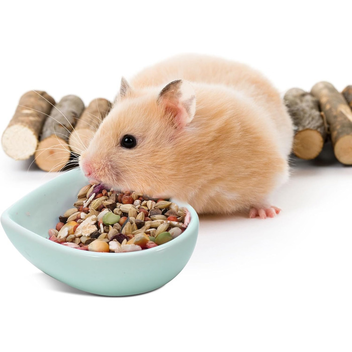 Набір мисок для тварин: хом'яки, їжаки, миші, морські свинки, серцеподібна форма, 3 шт.