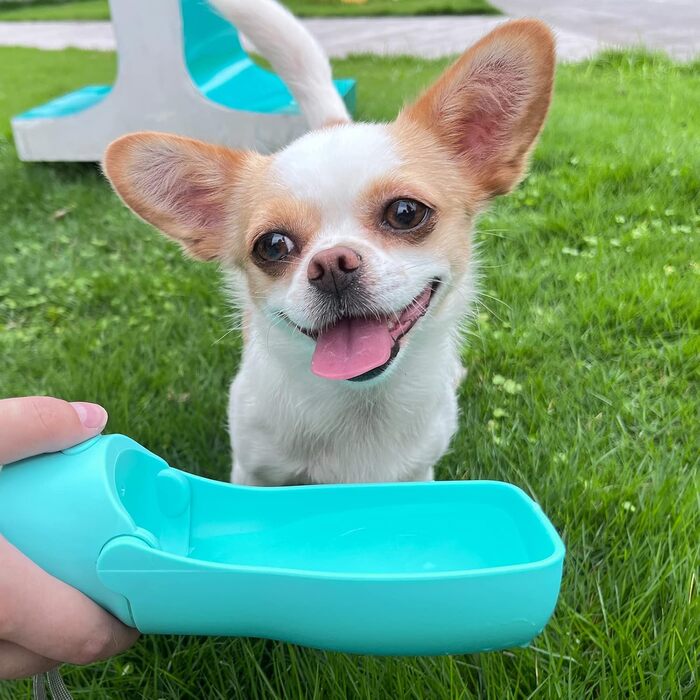 Водяна пляшка для собак Nepfaivy 350мл - туристична, вилка-поїльник, противитікаюча, для маленьких собак