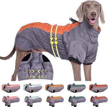 Зимові куртки для собак з шлейкою, теплі та зручні для холодної погоди. Відображають світло, підходять для малих, середніх та великих собак. Куртка, жилет, тепла шерсть, комфортний вибір для вашого улюбленця.