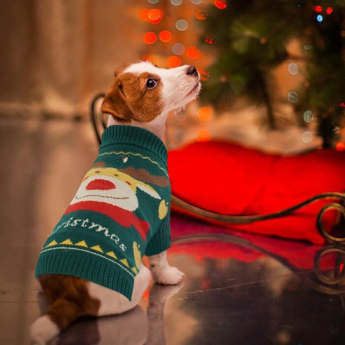 Пуловер для собак Kuoser на Новий Рік, теплий в'язаний пуловер для цуценят, м'який зимовий одяг для собак, святковий пуловер з оленем для маленьких та середніх собак, зелений L, зелений