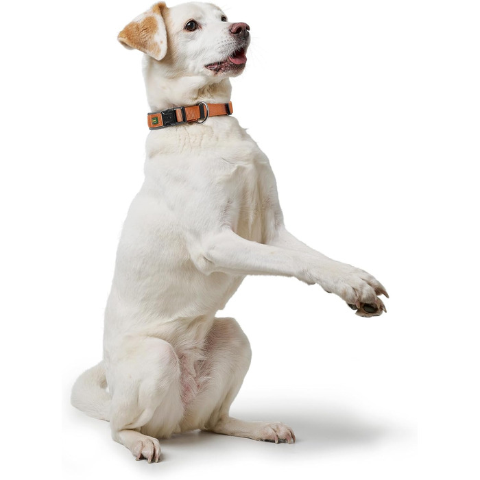 Нашийник для собак HUNTER Neopren Vario Plus, нейлон, неопрен, регульований, з поглинанням ривка, комфортний, розмір L/2,5, колір: мідний/сірий