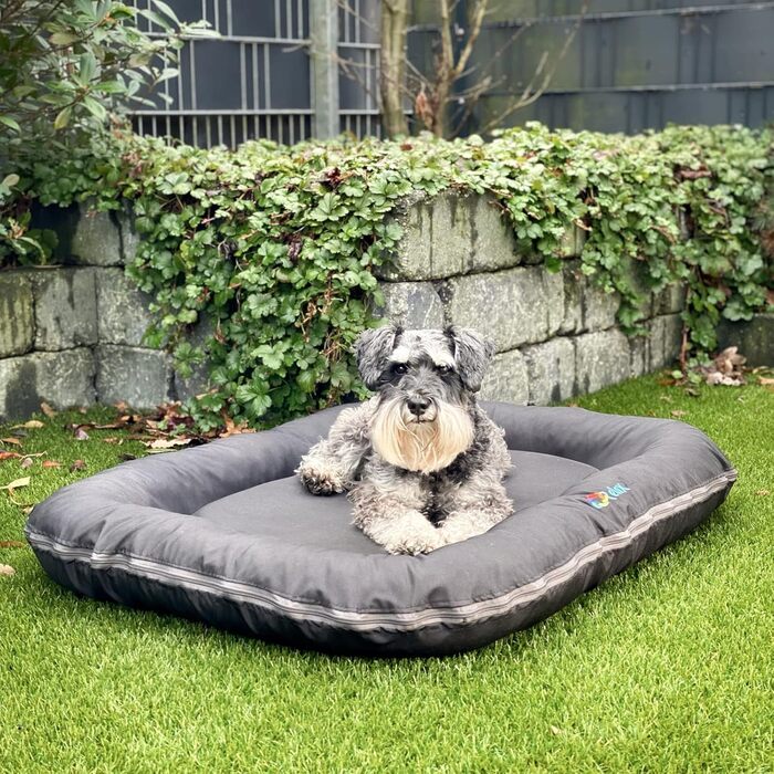 Ортопедична подушка для собак Luna S: 70x55 см, бежева. Зносостійка, для маленьких собак, для саду та дому. Можна прати при 60°C, з віскоеластомерної піни.