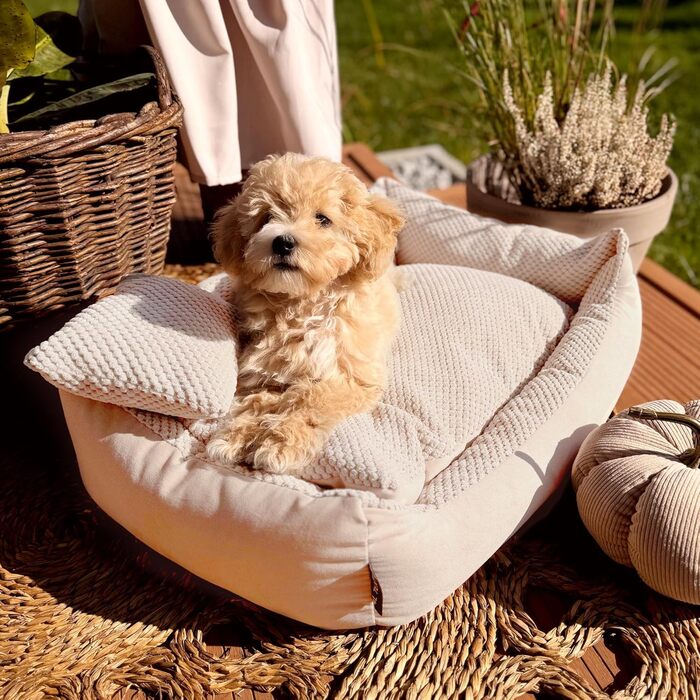 М'яке ліжко для собак Teo 80x60 см, бежеве - знімний та пральний чохол