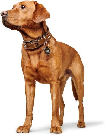 Нашийник для собак Hunter Tara, шкіряний, юхт-шкіра, міцний, стійкий до погодних умов, розмір M (55 см), колір коньяк/темно-коричневий