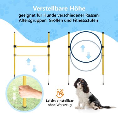 Набір для аджиліті для собак Huskl Agility Set: тунель, стійки, кільце, коробка для відпочинку. Аксесуари для аджиліті та тренувань собак.