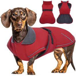 колір: гниль