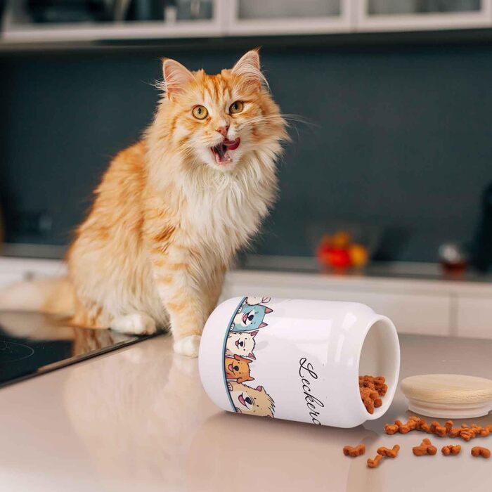 Банка для ласощів з гравіюванням - персоналізована з ім'ям для собак та котів - ідеально для зберігання корму