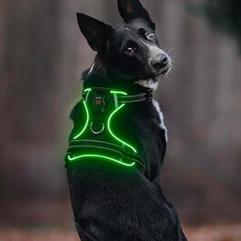 Світловідбиваючий жилет для собак Colaseeme Light з LED-підсвічуванням, регульований, чорний, розмір S