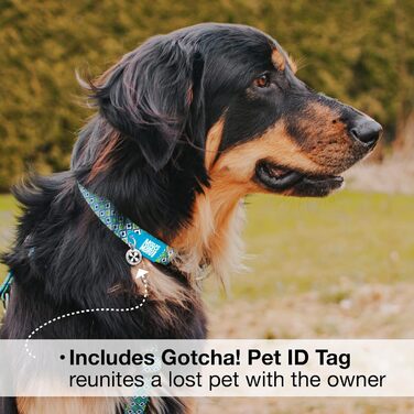 Нашийник для собак Max & Molly з надійною застібкою, стильний дизайн для малих, середніх та великих собак та цуценят, водонепроникний, зручний, регульований, з QR-кодом ідентифікації тварин Gotcha, розмір M (33-53 см), колір Retro-Blue