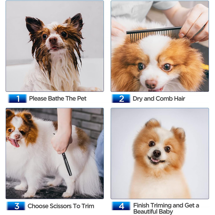 Набір професійних ножиць для грумінгу собак Gimars, 5-в-1, з титановим покриттям, безпечні, чорні