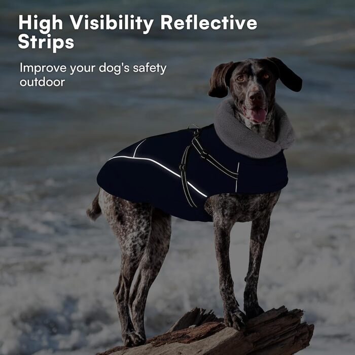 Зимовий теплий водонепроникний одяг для собак Queenmore, куртка для собак з шлейкою, 3-шарова, світловідбиваюча, для великих порід (лабрадор, хаскі, голден ретрівер) (Морська хвиля, 2XL) XXL Морська хвиля