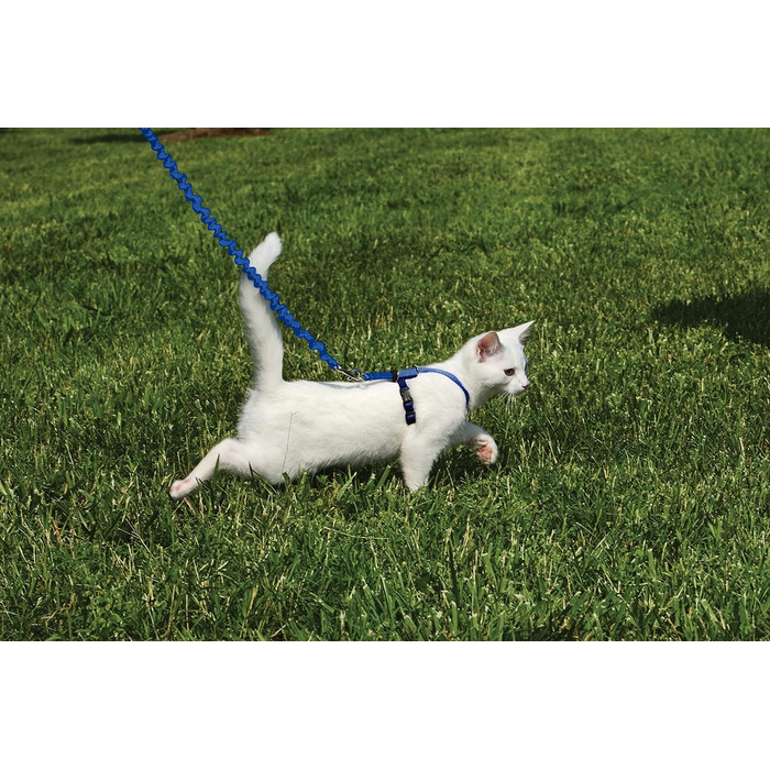 Шлейка для котів PetSafe Easy Walk, червона, розмір S, для прогулянок