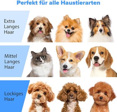 Машинка для стрижки собак зі вбудованим пилососом, 13000Pa, тиха, для собак та котів, 7 насадок, контейнер для сміття 2L