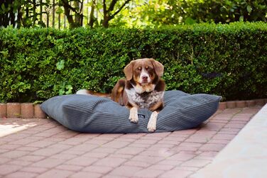 4L Textil ZOE: М'яке ліжко для собак з плюшу, 80x60 см, сірий (смужки), з блискавкою, для великих собак, зручне, миється