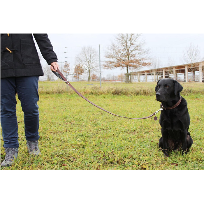 Шкіряний повідок для собак Activity4Dogs, 1 м, 2 см, для середніх і великих собак, коричнево-чорний, Німеччина