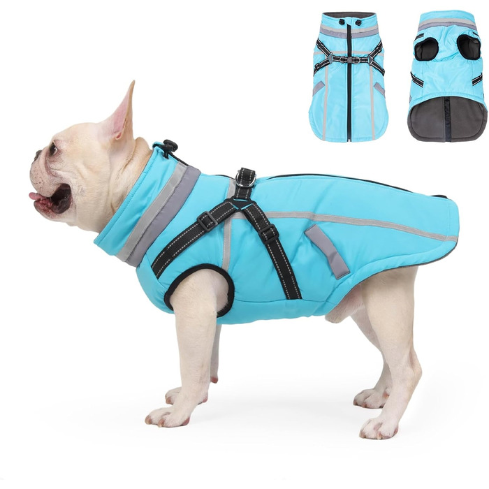 Теплий зимовий одяг для собак FeimaX: флісова куртка з блискавкою, захист від вітру та вологи, для маленьких та середніх собак (Блакитний, L)