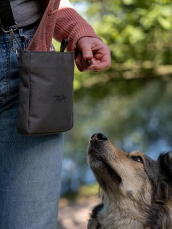 TrendPet Сумка для ласощів для собак, 3 кольори (сірий)
