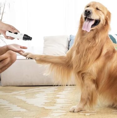 Електричний триммер для собак OrthoTrimmer від SWZEC - безпечний та ефективний для догляду за кігтями вдома (білий)