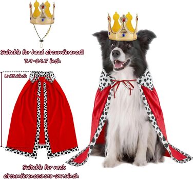 Костюм для собак 