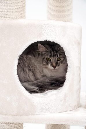 Дерево для котів Petrebels Charlotte 180 см, преміум якість, з гамаком та товстими стовбурами Ø12 см, бежевий/кремовий