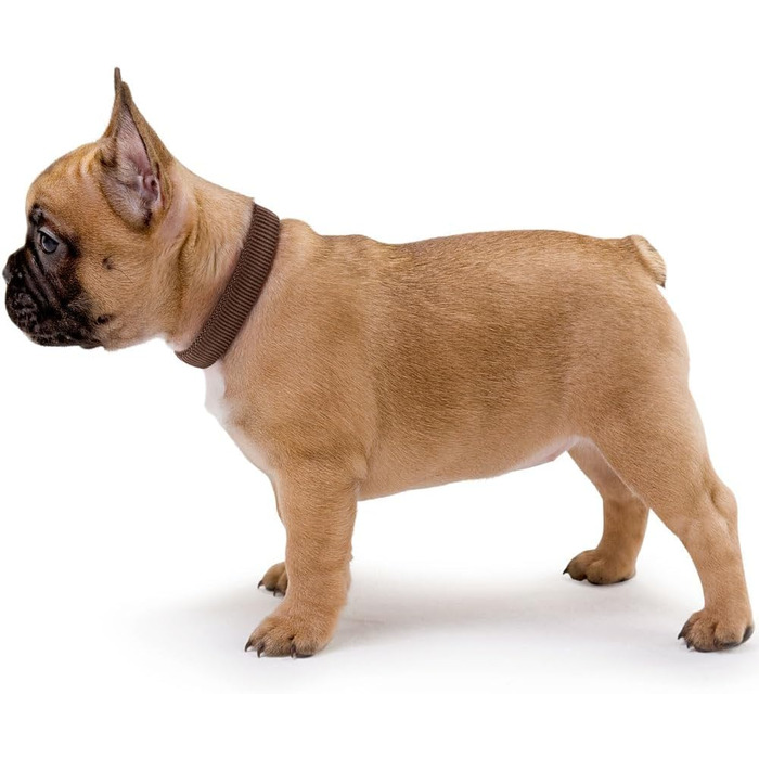 Нашийник для собак Hunter Vario Plus, сірий, M-L/2.0, надійна застібка, комфортний