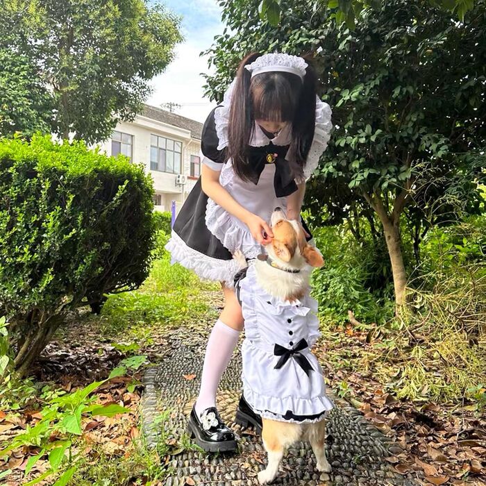 Сукня для собак FLAdorepet, костюм горничної з пов'язкою, костюм на Хелловін, наряд для великих порід, собак, дівчаток, цуценят, на Різдво, у відпустку, на весілля, сукня принцеси (чорна, XXX-Large (вага 36-45 кг))