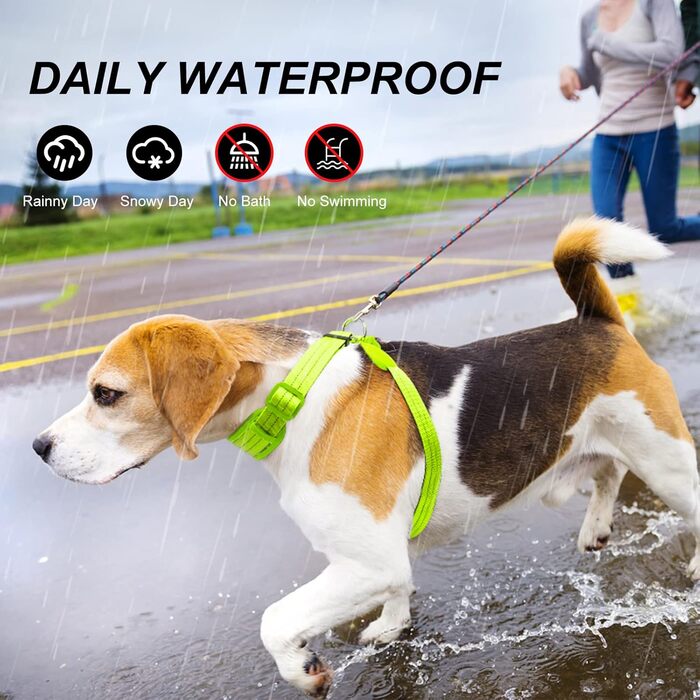 LED нашийник для собак PZRLit, світловідбиваючий, світлодіодний, м'який, регульований, перезаряджається (зелений, Extra Large)