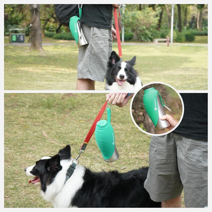 ЛьюмоЛіф - пляшка для води для собак, 800 мл, нержавіюча сталь, портативна, для подорожей, хандер, кемпінг (зелена)