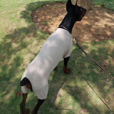 Піжама для собак Lovelonglong, бавовна, теплий боді для всіх сезонів, розмір L (3XL для великих собак), бежевий