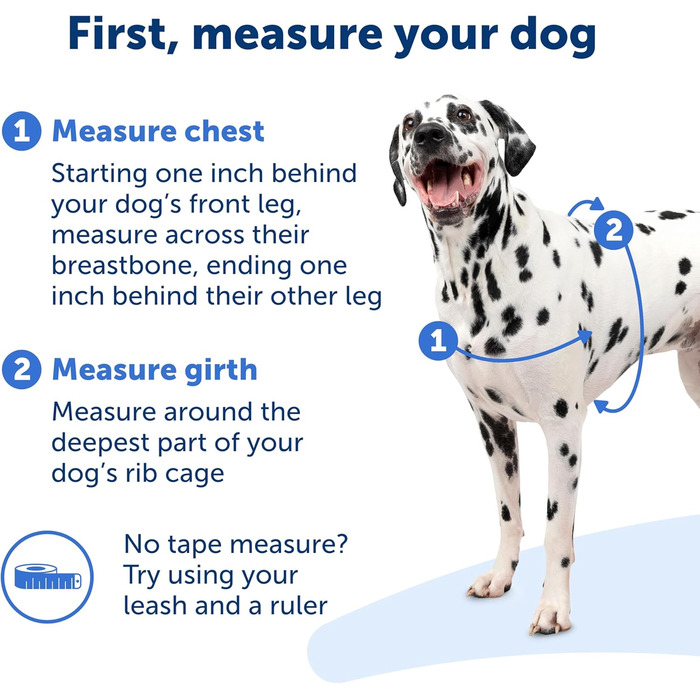 Шлея для собак PetSafe Easy Walk, анатомічна