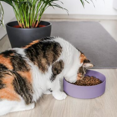 Миска для собак ne&no® Silikon 1200 мл з кришкою для маленьких та середніх собак | Безпечна для холодильника, не ковзає | Набір мисок для собак: миска та кришка (холодна фіолетова)