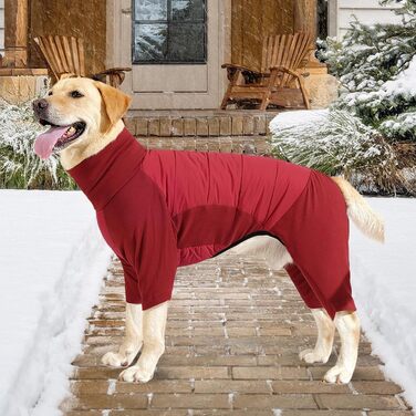 Водонепроникний зимовий одяг для собак: теплий манжет, одяг для цуценят, прогулянки, походи, кемпінг, червоний XL