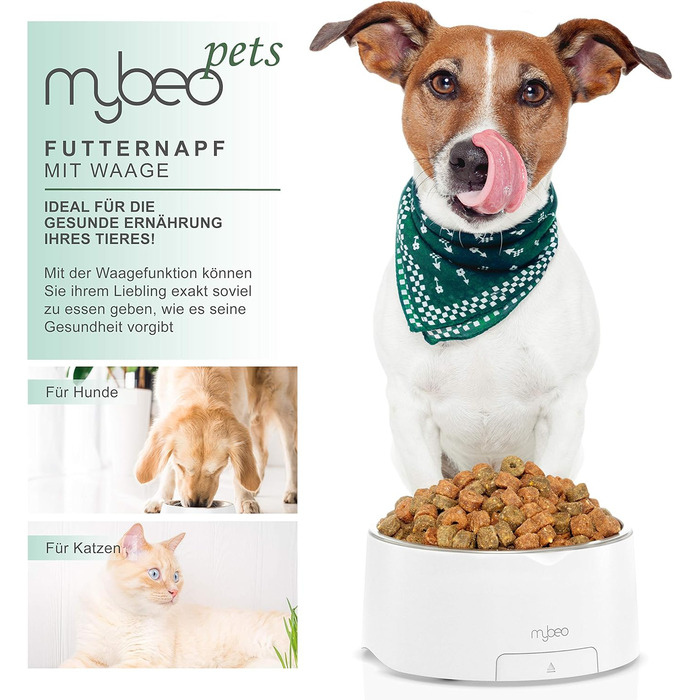 Миска для корму та води з нержавіючої сталі з вбудованими терезами для собак та котів - до 5 кг, знімний об'єм 1000 мл, функція тарування, LCD дисплей, для Барфа, миска для годування