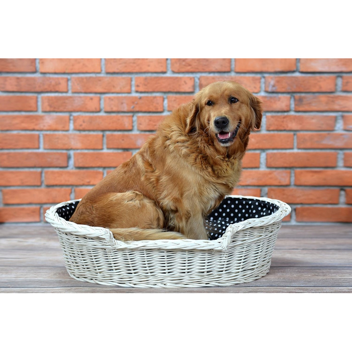 Гніздо для собак з лози e-wicker24 502-60, коричневе, 60x43x19 см (80x60x26 см, бежеве)