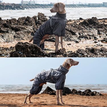 Водонепроникний комплект для собак BT Bear: жилет, дощовик, жилетка, для середніх та великих собак, розмір 6XL, чорний