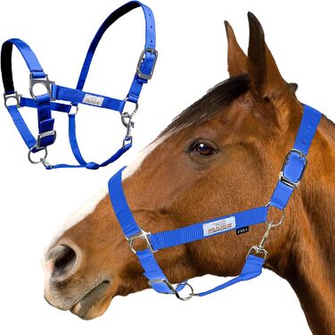 Нейлонова вуздечка для коня Prairie Horse Supply, синя, 2,5 см, регульована, кінська амуніція для верхової їзди