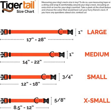 Водонепроникний нашийник для собак Tiger Tail Urban Nomad, не вбирає запахи, зносостійкий, матовий, легкий, високоякісний нейлон із покриттям, для великих, середніх та малих собак, синьо-зелений, розмір XS