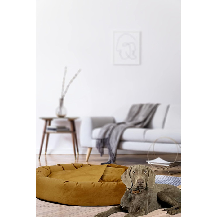 Килимок для собак Luxus Denver | гігієнічний, миється | розмір M (для маленьких та середніх собак) | затишна печеринка з пакетиками для відходів | діаметр 68 см (90 см, гірчичний)