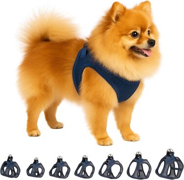 Шлейка для собак середнього розміру Famingo Harness Step&Go Bento (Синій, S)