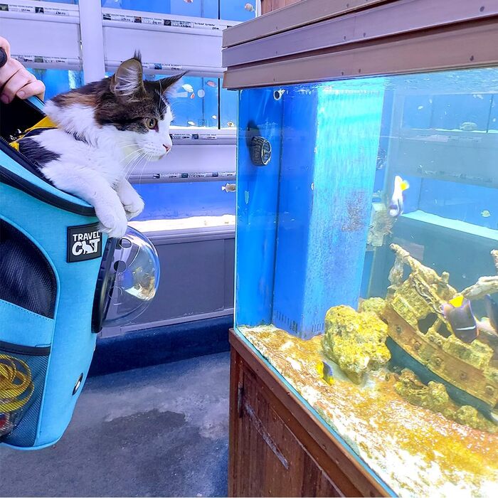 Рюкзак для котів 'The Fat Cat' Aqua – переноска для великих котів із бульбашковим вікном, бічними кишенями та регульованими лямками, для подорожей і прогулянок
