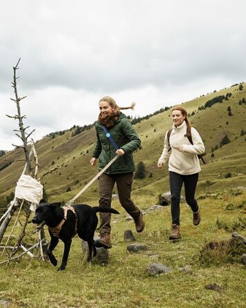 EVERKING 6-в-1 повідок для собак з живітним ременем – повідь для бігу та прогулянок, з двома ручками, антишокова пружина, кріплення для авто, альтернатива шлейці (Блакитний, Сірий, Блакитний, Хакі)