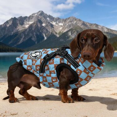 Теплий водонепроникний одяг для собак на зиму (M+, Синій) - куртка для маленьких собак
