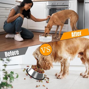 Персоналізований миска для собак та котів - нержавіюча сталева годівниця з іменем, антиковзаюча миска для собак та котів, поїльник для води (білий)