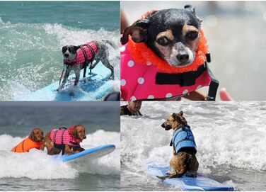 Світловідбиваюча рятувальна жилетка для собак SHTGOI з ручкою для рятування. Жилет для собак, цуценят, для плавання, катання на човні, блакитний колір.