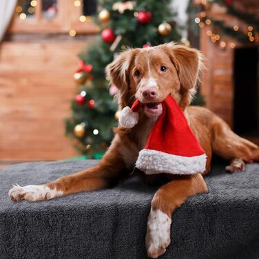 М'яка флісова підстилка для собак і котів Nobleza, 160 x 120 см (XXL 200 x 160 см), сіра