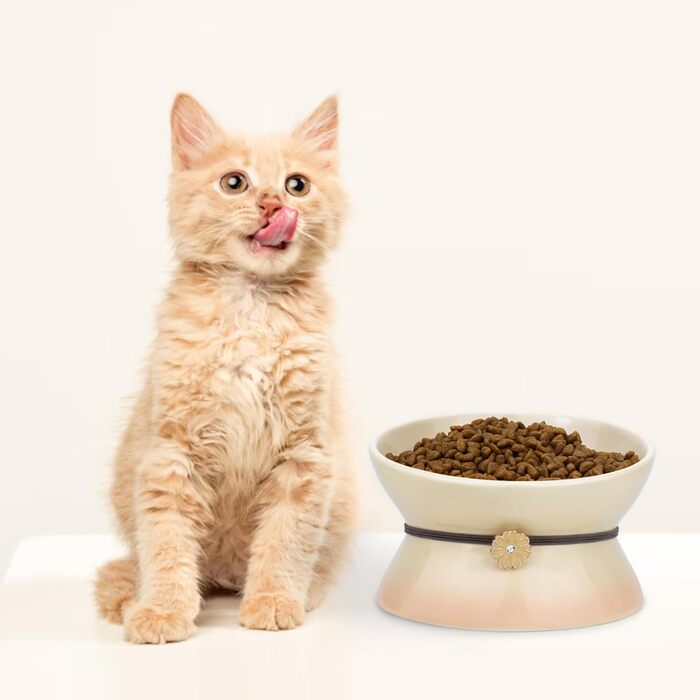 Підвищена годівниця для котів та собак Busnos, керамічна миска для води та їжі, жовта, 15.5x15.5x11 см