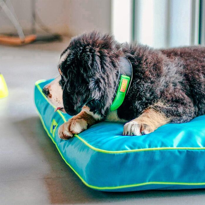 Ортопедичний лежак для собак та котів FERPLAST Polo - блакитний, 80 x 50 x 8 см, M